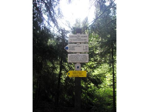 Foto 45